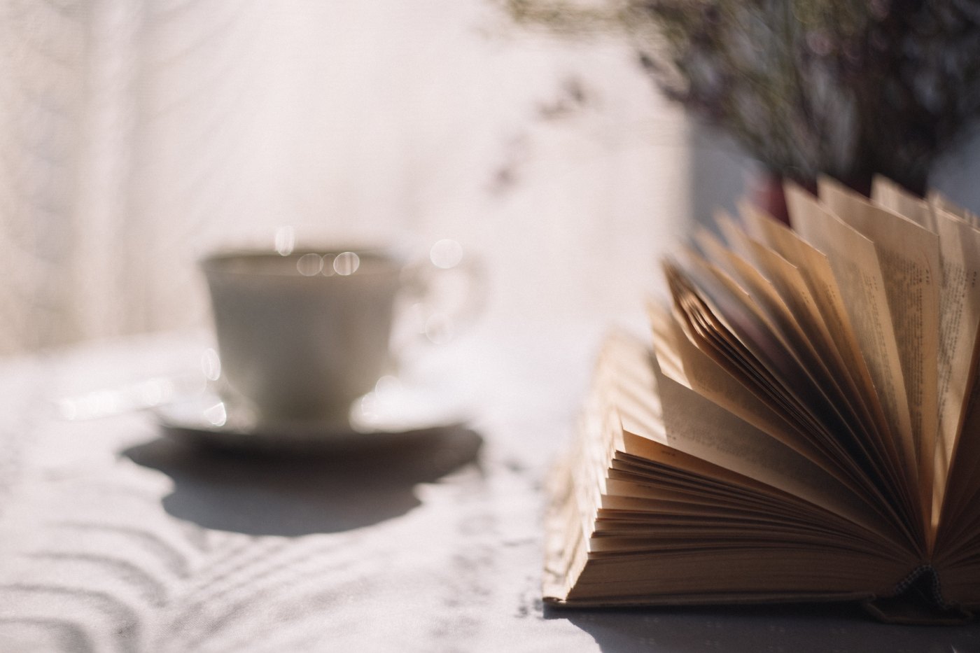 libro-taza-te